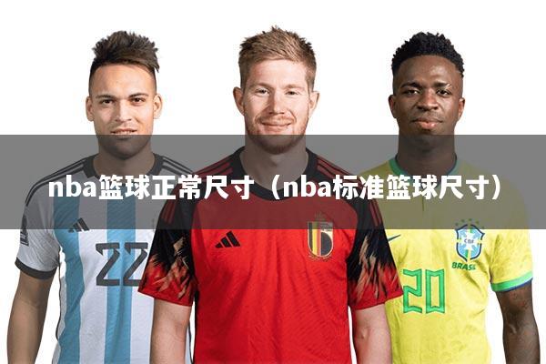 nba篮球正常尺寸（nba标准篮球尺寸）
