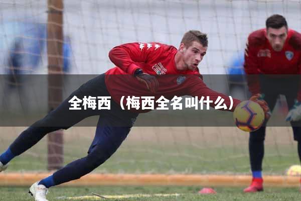 全梅西（梅西全名叫什么）