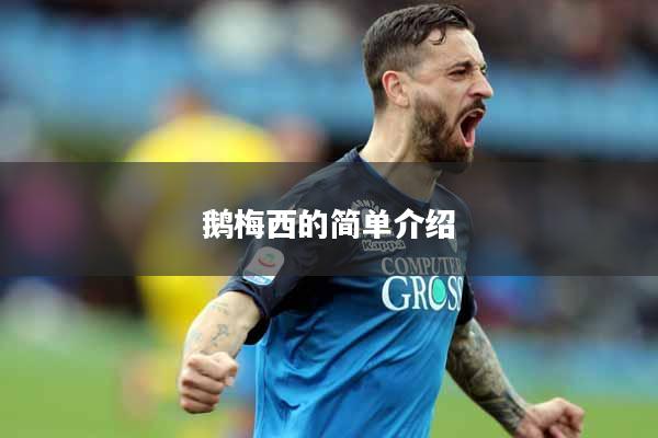 详细阅读:鹅梅西的简单介绍 鹅梅西的简单介绍