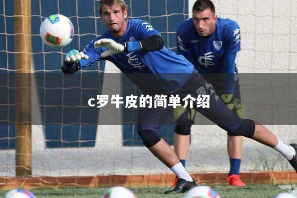 c罗牛皮的简单介绍