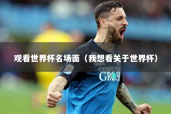 观看世界杯名场面（我想看关于世界杯）