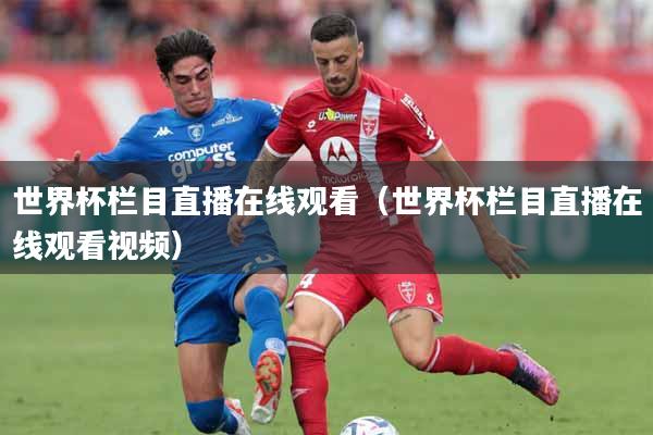 世界杯栏目直播在线观看(世界杯栏目直播在线观看视频)
