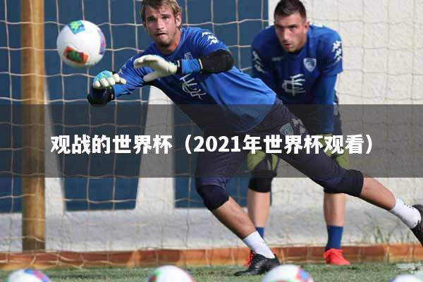 观战的世界杯（2021年世界杯观看）