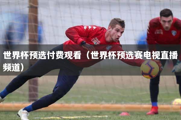 世界杯预选付费观看（世界杯预选赛电视直播频道）