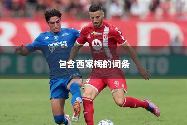 包含西家梅的词条