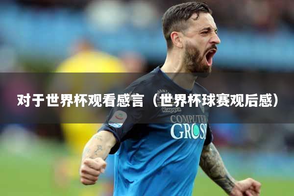 对于世界杯观看感言（世界杯球赛观后感）