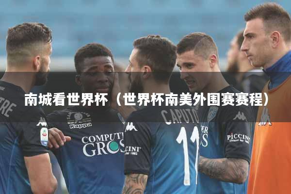 南城看世界杯（世界杯南美外围赛赛程）