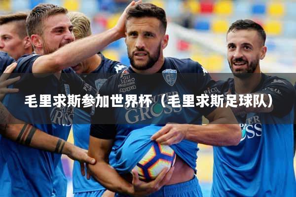毛里求斯参加世界杯（毛里求斯足球队）