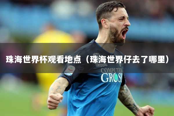 珠海世界杯观看地点（珠海世界仔去了哪里）