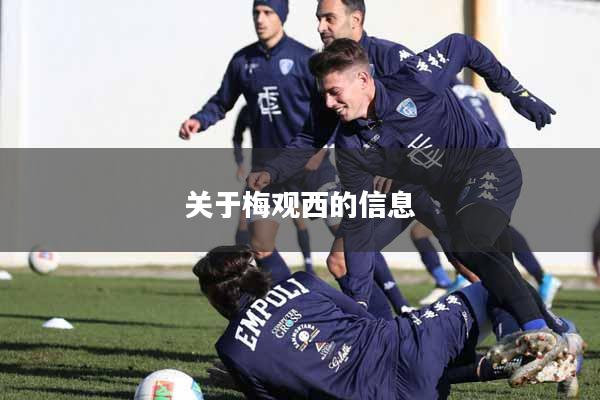 关于梅观西的信息
