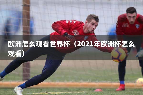 欧洲怎么观看世界杯（2021年欧洲杯怎么观看）