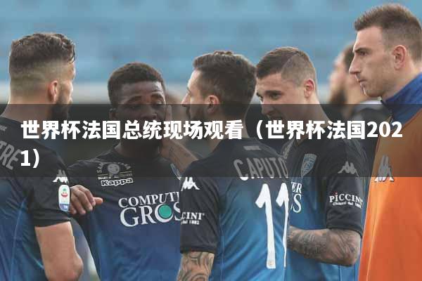 世界杯法国总统现场观看（世界杯法国2021）