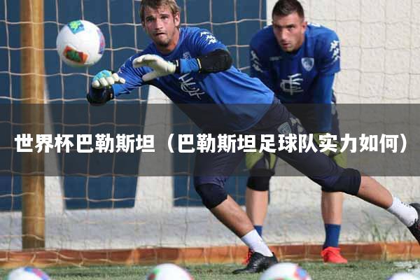 世界杯巴勒斯坦（巴勒斯坦足球队实力如何）