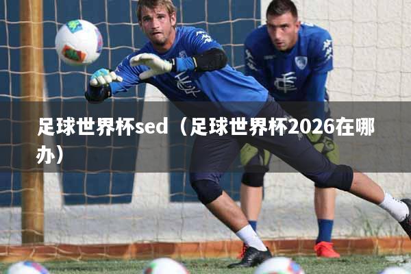 足球世界杯sed（足球世界杯2026在哪办）