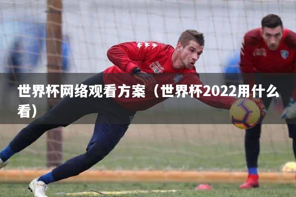 世界杯网络观看方案（世界杯2022用什么看）