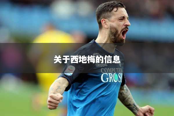 关于西地梅的信息