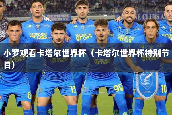 小罗观看卡塔尔世界杯（卡塔尔世界杯特别节目）