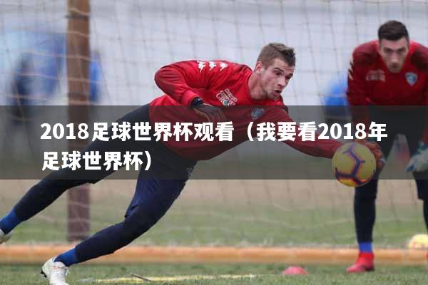 2018足球世界杯观看（我要看2018年足球世界杯）