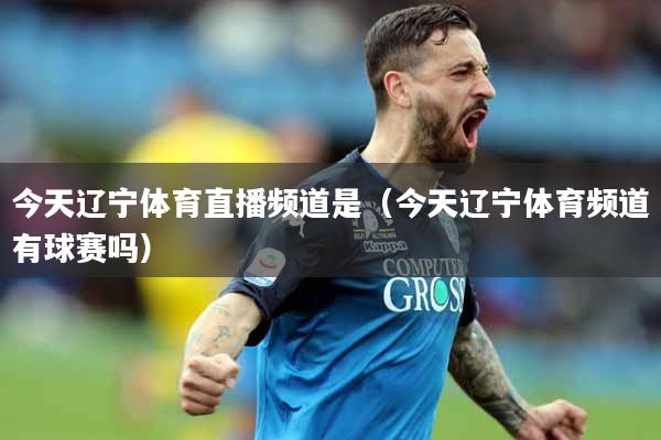 今天辽宁体育直播频道是（今天辽宁体育频道有球赛吗）